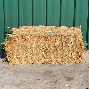 Straw Bale (1-4 bales)